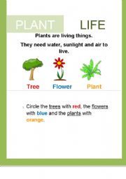 English worksheet: Plant Life: Trees, Flower and Plants