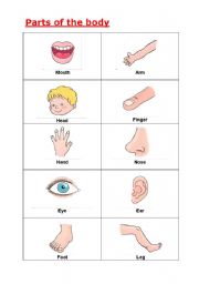 English Worksheet: Parts of the Body - A handout