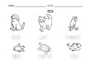 English Worksheet: PETS