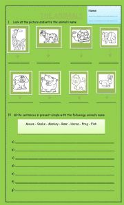 English worksheet: animals