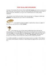 English Worksheet: New Zealands Wildlife