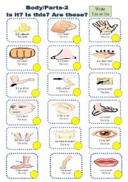 English Worksheet: Body Parts  2