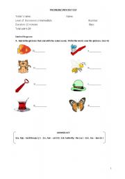 English Worksheet: an enjoyable pronunciation test! 