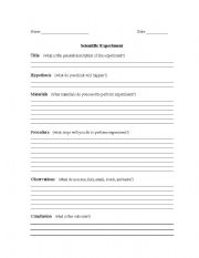 English Worksheet: Scientific Experiment Worksheet