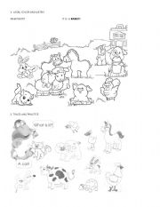 English Worksheet: farm animals