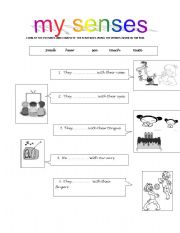 English worksheet: my senses