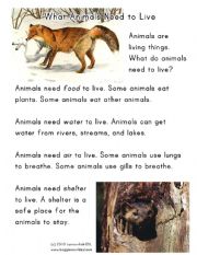 English worksheet: animal needs