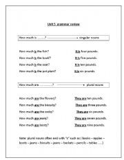 English worksheet: how much?