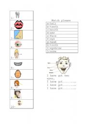 English worksheet: parts of head