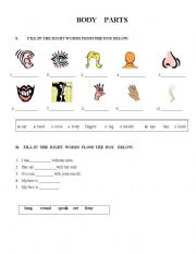 English Worksheet: BODY PARTS 1-ST PAGE
