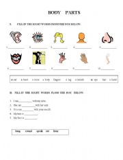 English worksheet: BODY PARTS 1-ST PAGE