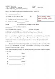 English Worksheet: Describing words