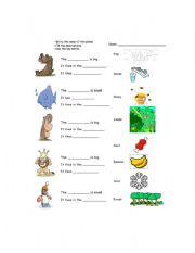 English worksheet: Animal riddles 1