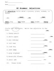 English worksheet: Grade 2 Adjectives