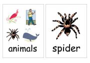 English worksheet: animals