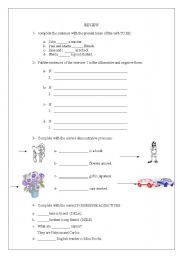 English worksheet: Exercises