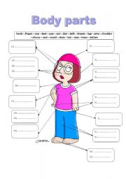 English Worksheet: Parts of the body