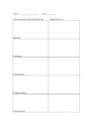 English Worksheet: How to chest pass etc