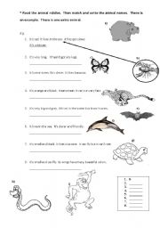 English Worksheet: Animal Riddles