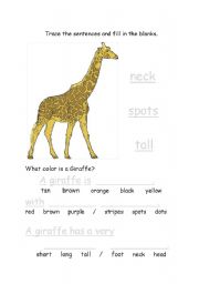 English worksheet: Giraffe01