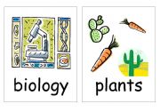 English worksheet: Plants