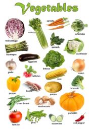 English Worksheet: Vegetables - Poster