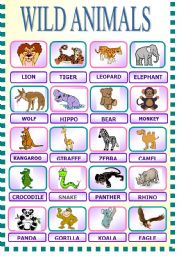 English Worksheet: WILD ANIMALS