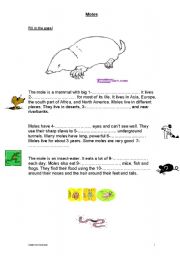 English worksheet: Moles