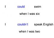 English Worksheet: could and couldnt