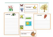 English worksheet: IN THE GARDEN FOR REAL