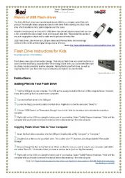 English Worksheet: USB Flash Drive