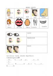 English worksheet: HEAD PARTS