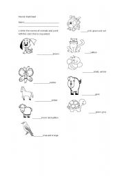 Animal worksheet