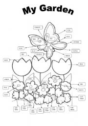 English Worksheet: My Garden- Colors