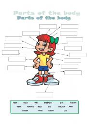 English Worksheet: Parts of the body