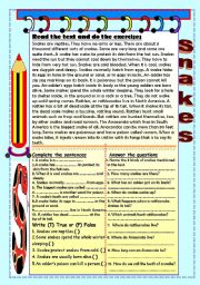 English Worksheet: Snakes comprehension