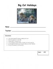 English worksheet: Big Cat Holidays