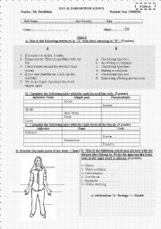 Quiz (4different forms: same structure but different content)