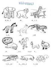 English Worksheet: wild animals