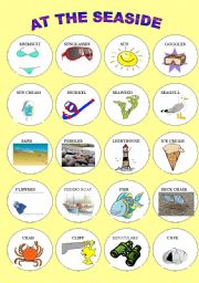 English Worksheet: AT THE SEASIDE 2 - PICTIONARY IN COLOUR