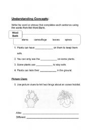 English worksheet: What helps protect plants?