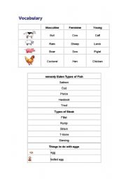 English Worksheet: talking about food