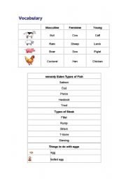 English worksheet: talking about food