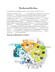 English Worksheet: The Montreal Biodome: In/At/On