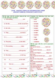 English Worksheet: The verb TO BE (positve and interrogative form of Present Simple Tense) and possessive adjectives.