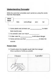 English worksheet: How animals and insects protect themselves