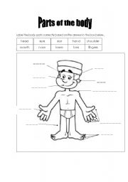 parts of the body worksheet