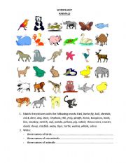 English Worksheet: Animals