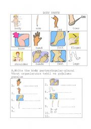 English Worksheet: body parts