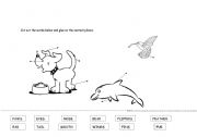 English worksheet: Parts of the body of the animals
